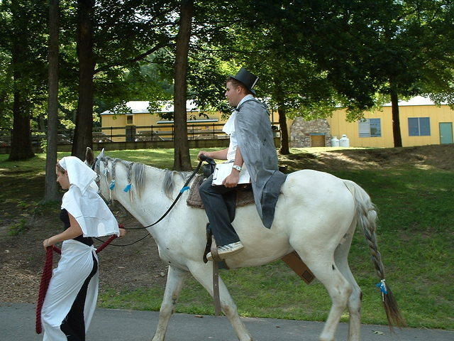 2003 NA-SHO-PA PICTURES 2025