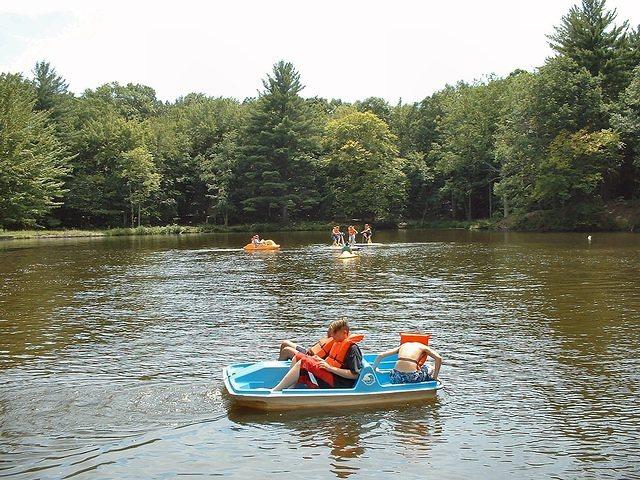 2003 NA-SHO-PA PICTURES 682