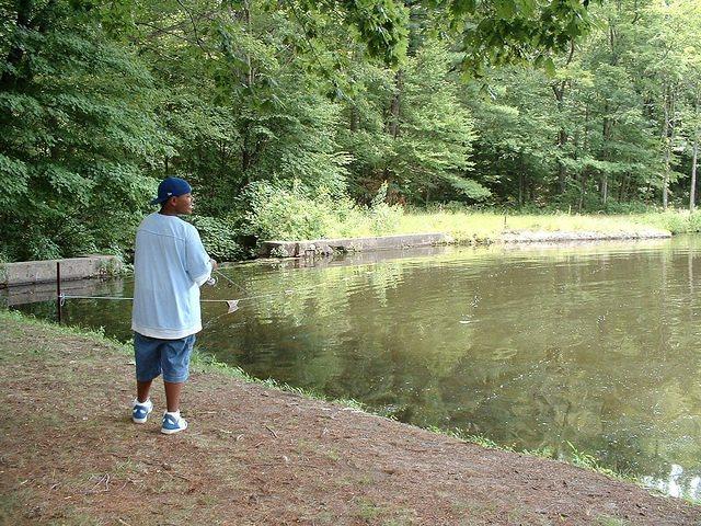 2003 NA-SHO-PA PICTURES 684