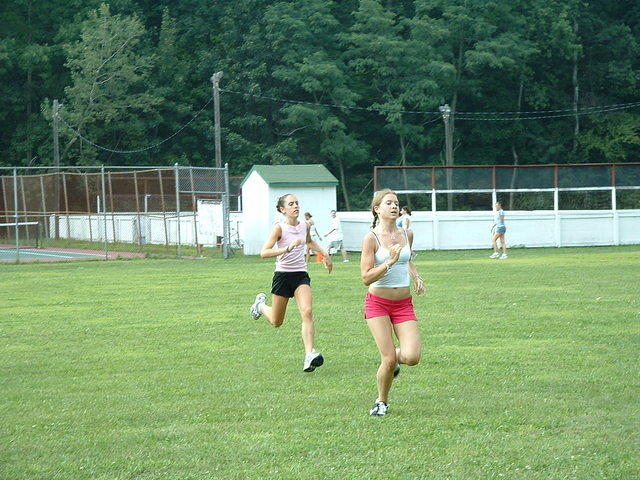 2003 NA-SHO-PA PICTURES 795
