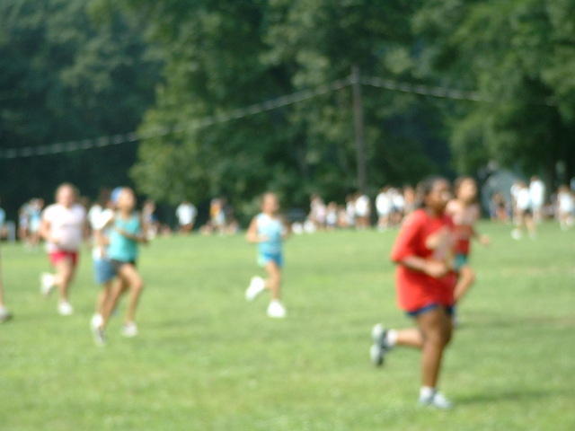2003 NA-SHO-PA PICTURES 798