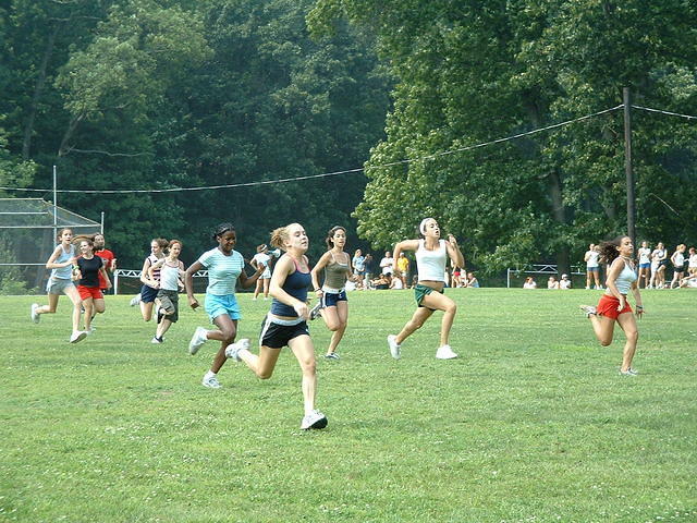 2003 NA-SHO-PA PICTURES 799