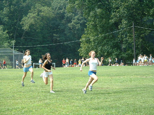 2003 NA-SHO-PA PICTURES 802