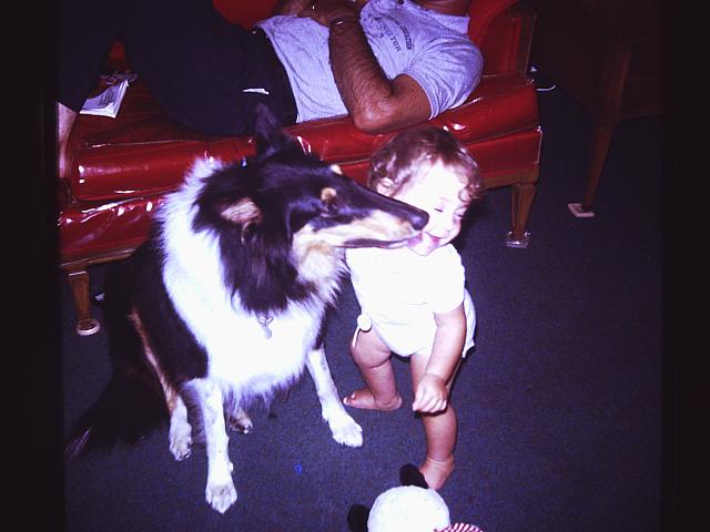 LEITMAN SLIDES 70's 086