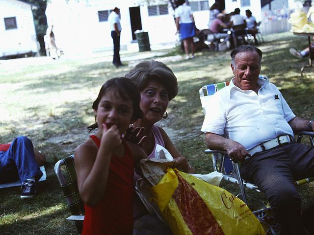 LEITMAN SLIDES 70's 353