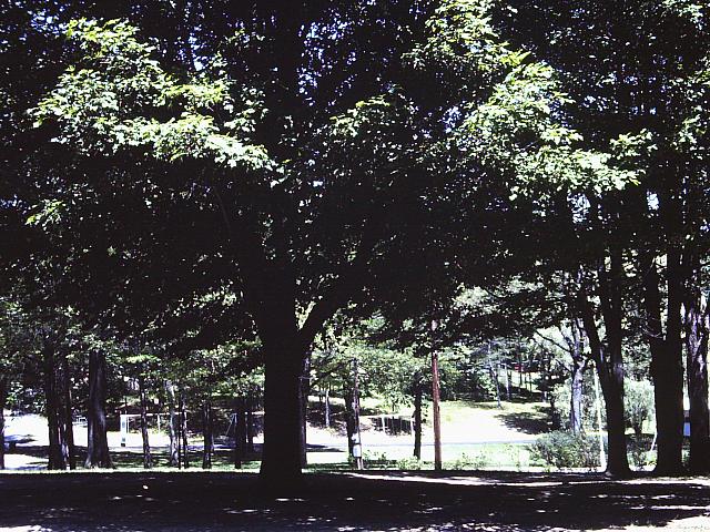 70's Slides 215