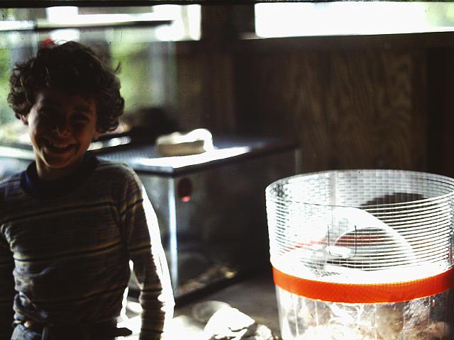 70's Slides 241