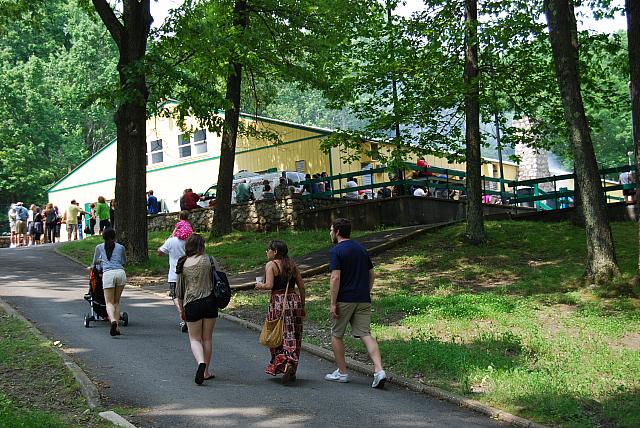 DSC 0061