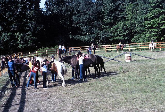 09 22298 1970s NSP Kroll d048