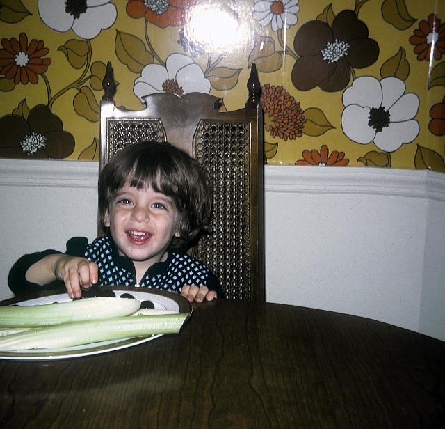 14 22298 1970s 02 Kroll Family e050