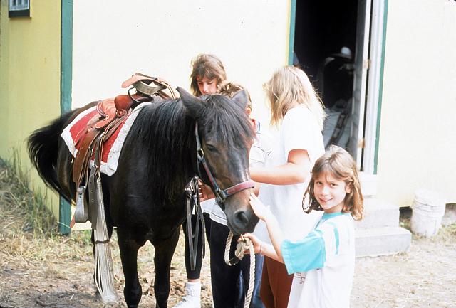 44 22298 1980s NASHOPA Kroll q021