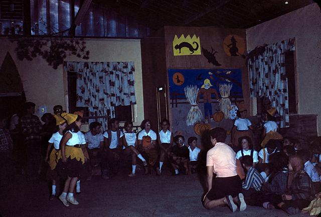 14 22298 1960s NASHOPA i006
