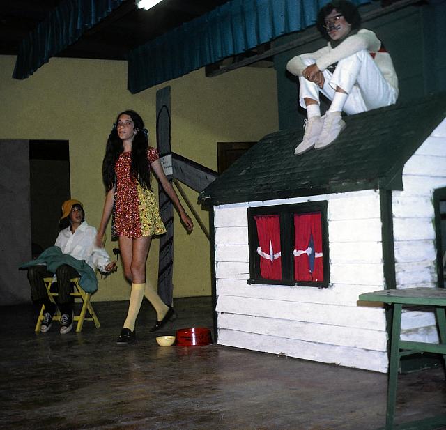15 22298 1970s NASHOPA i048