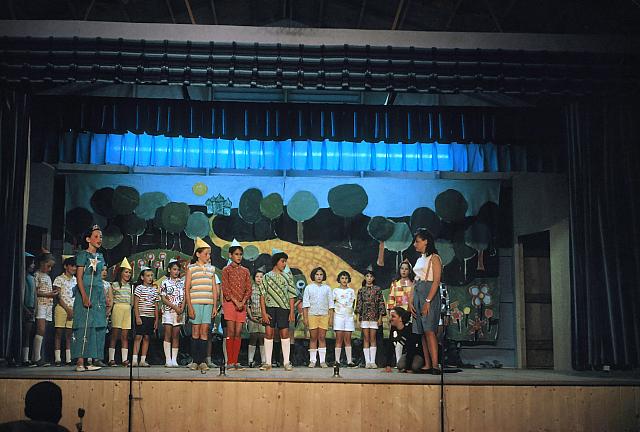 23 22298 1970s NASHOPA i010