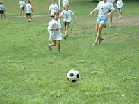 2003 NA-SHO-PA PICTURES 1146