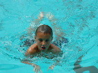 2003 NA-SHO-PA PICTURES 1172