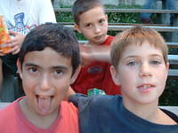 2003 NA-SHO-PA PICTURES 1331