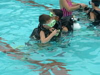 2003 NA-SHO-PA PICTURES 1379