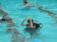 2003 NA-SHO-PA PICTURES 1397