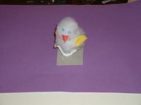 2003 NA-SHO-PA PICTURES 1438
