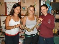 2003 NA-SHO-PA PICTURES 1453