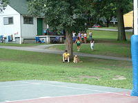 2003 NA-SHO-PA PICTURES 1459