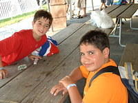 2003 NA-SHO-PA PICTURES 1624