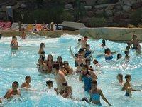 2003 NA-SHO-PA PICTURES 1674
