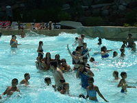 2003 NA-SHO-PA PICTURES 1697