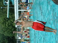 2003 NA-SHO-PA PICTURES 1817