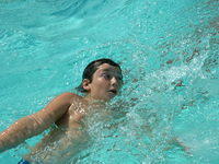 2003 NA-SHO-PA PICTURES 1843