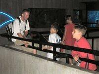 2003 NA-SHO-PA PICTURES 1854