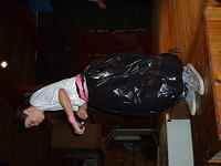 2003 NA-SHO-PA PICTURES 505