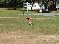 2003 NA-SHO-PA PICTURES 746