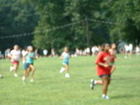 2003 NA-SHO-PA PICTURES 798