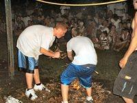 2003 NA-SHO-PA PICTURES 822