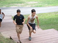 2003 NA-SHO-PA PICTURES 850