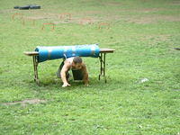 2003 NA-SHO-PA PICTURES 879