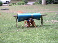 2003 NA-SHO-PA PICTURES 900