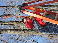 IMG 1399