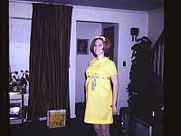LEITMAN SLIDES 70's 039