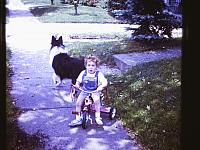 LEITMAN SLIDES 70's 047