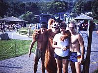 LEITMAN SLIDES 70's 201