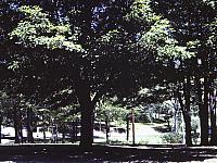 70's Slides 215