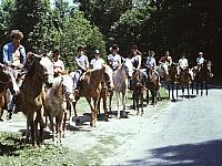 70's Slides 438