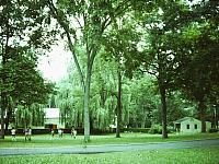 70's Slides 455
