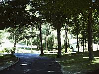70's Slides 584