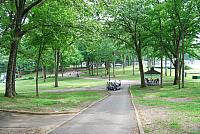 DSC 0074