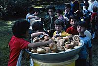 01 22298 1970s NSP Kroll a039