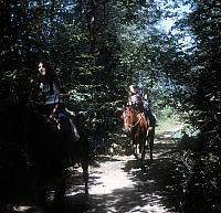 02 22298 1970s NSP Kroll b048